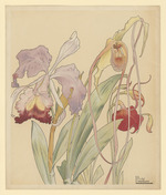 Orchideen, Blatt 6 der Folge "6 Planches Fleurs Décoratives"