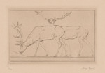 Hirsche, Blatt aus der Folge "Trinkende Tiere"