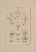 Studienblatt mit Kreuzblumen nach F. S. Meyer, Ansicht