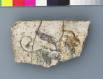 Fragment römischer Wandmalerei: gehörnter Greif auf weißem Grund