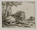 Liegender Löwe im Profil nach rechts, dessen Kopf im Dreiviertelprofil nach vorn gerichtet ist