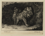 Zwei Löwen am Eingang einer Höhle