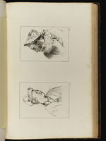 Oben: Büste eines jungen Mannes im Profil nach links; unten: Büste einer jungen Frau mit Schal, nach rechts gewandt