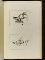 Oben: Soldat auf einem steigenden Pferd; unten: Soldat mit Gewehr in der Hand