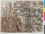 Fels- und Baumstudie, aus einem Skizzenbuch entnommen