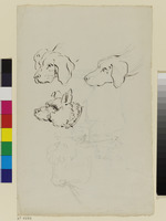 Studienblatt mit drei Hunde- und einem Stierkopf; verso: Stehender Stier
