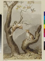 Zwei junge Leoparden, jeder auf einem Baum