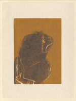 Affe (braun, rot, gelb)