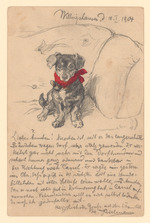 Postkarte, aus Willingshausen: Dackel Nero mit Bändchen auf dem Sofa
