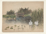 Schwäne mit ihren Jungen im Teich
