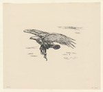 Fliegender Adler mit Beute, Blatt 11 der Folge "Vom Fressen der Tiere"