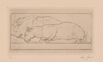Löwen, Blatt aus der Folge "Trinkende Tiere"