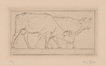 Kühe, Blatt aus der Folge "Trinkende Tiere"