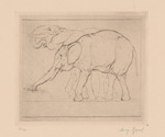 Elefanten, Blatt aus der Folge "Trinkende Tiere"
