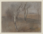 Flache Landschaft mit Birken; rückseitig: Buchen