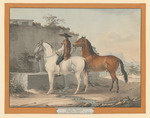 Chevaux Espagnoles, aus einer Folge von Pferdedarstellungen