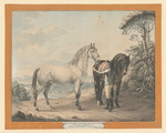 Chevaux Napolitans, aus einer Folge von Pferdedarstellungen