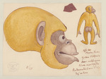 Entwurf für eine Affenfigur