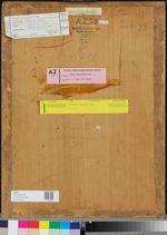 Sonnige Tage auf Capri