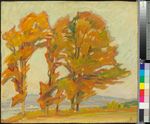 Bäume im Herbstlaub am Starnberger See