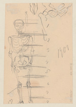 Frau in Abendkleid; verso: Skelettaufbau (Fragment)
