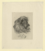 Zwei Löwenköpfe, der obere ausgeführt, im Profil nach rechts, der untere umrißhaft, mit offenem Rachen nach rechts (Stoll 185)