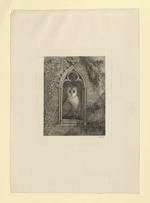 Schleiereule in gotischem Fenster, durch das Fenster im Hintergrund scheinen Äste eines Baumes (Stoll 199)