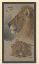 Zwei Löwenköpfe, Studie