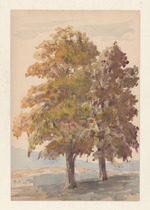 Herbstliche Baumgruppe