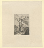 Gartentür, überragt von zwei Bäumen, im Vordergrund ein sitzendes Mädchen mit zwei Hunden (Stoll 226)