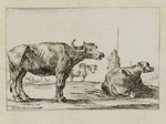 Bauer mit Rindern