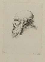Kopf eines alten bärtigen Mannes im Profil nach links