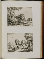 57-60. | Huit feuilles avec des lions | P. Potter | Marc. de Bÿe fec. 1664. Nic. / Visscher, exc.