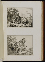 57-60. | Huit feuilles avec des lions | P. Potter | Marc. de Bÿe fec. 1664. Nic. / Visscher, exc.