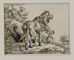 Nach rechts schreitender Löwe, im Hintergrund eine Eule