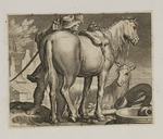 Mann mit zwei Pferden