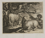 Schäfer mit Schafen und Ziegen unter einem Baum