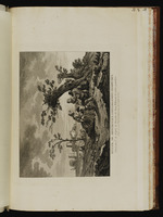 Zwei Frauen, ein Mann und ein Kind unter einem Baum in einer Landschaft
