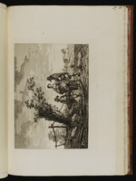Frau und zwei Männer neben einem Baum in einer Landschaft