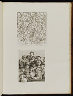 Characters and Caricatures; Scholars at a Lecture