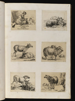 1. | Sechs numerirte kleine Stücke mit Schaafen und Widdern; T. Animalia ad vivum delineata / et aqua forti aeri impressa studio et arte Nicolai Berchemi.
