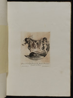 Der Kopf von Johannes dem Täufer auf einem Teller, darüber halten zwei Engel ein Tuch mit dem Abdruck desselbigen