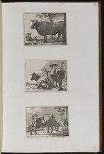 62-64. | Acht kleine Thierstücke mit Ochsen und Kühen | Js. v. Waesberge exc. 1662.