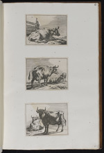 62-64. | Acht kleine Thierstücke mit Ochsen und Kühen | Js. v. Waesberge exc. 1662.