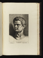 Kopf des Marcus Iunius Brutus