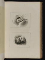 Oben: Büste Pierrots; unten: Büste einer jungen Frau im Profil nach rechts