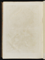 Leerseite