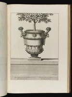 Vase mit zwei Widderköpfen