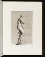 Statue der Venus mit Delphin, Ansicht von hinten rechts