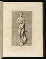 Statue der Venus mit Delphin, Dreiviertelansicht